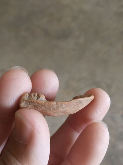 พระเนื้อดิน(พระพิมพ์พระเทวิกขนนกหลังเรียบ(เนื้อออกสีน้ำตาลส้ม)(ไม่ทราบอายุ)(ไม่ทราบพระเกจิที่สร้าง))พระบ้านพระเครื่องรางของมงคล รูปที่ 13