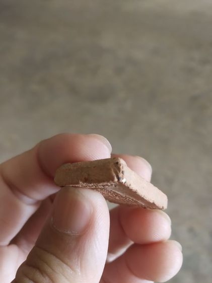 พระเนื้อผงพิมพ์กลาง(พระพิมพ์พระสมเด็จทันจิตหลังรอยพุทธบาท(สายหลวงพ่อฤาษีฯ)(วัดป่าพรหมยาน)(จังหวัดฉะเชิงเทรา)(ไม่ค่อยสวย))พระเครื่องของมงคล รูปที่ 17