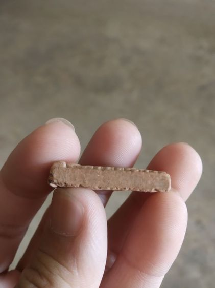 พระเนื้อผงพิมพ์กลาง(พระพิมพ์พระสมเด็จทันจิตหลังรอยพุทธบาท(สายหลวงพ่อฤาษีฯ)(วัดป่าพรหมยาน)(จังหวัดฉะเชิงเทรา)(ไม่ค่อยสวย))พระเครื่องของมงคล รูปที่ 15