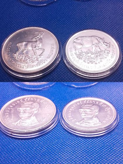 เหรียญเงิน (กะซู่-ละมั่ง) อนุลักษณ์ธรรมชาติและสัตว์ป่า รูปที่ 3