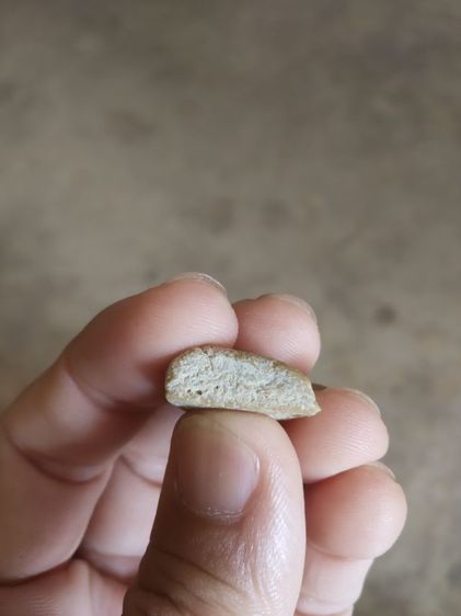 พระเนื้อผงน้ำมันพิมพ์เล็ก(พระพิมพ์พระนางพญาหลังเรียบ(ไม่ค่อยสวย)(110403)(ไม่ทราบพระเกจิที่สร้าง))พระบ้านพระเครื่องรางของมงคล รูปที่ 18