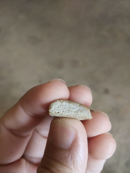 พระเนื้อผงน้ำมันพิมพ์เล็ก(พระพิมพ์พระนางพญาหลังเรียบ(ไม่ค่อยสวย)(110403)(ไม่ทราบพระเกจิที่สร้าง))พระบ้านพระเครื่องรางของมงคล รูปที่ 14