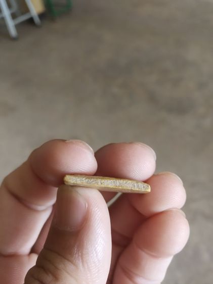 พระเนื้อว่านผสมผงพิมพ์เล็ก(พระพิมพ์พระสมเด็จคะแนนหลังเรียบ(เนื้อออกสีเหลืองเข้ม)(110405)(ไม่ทราบพระเกจิที่สร้าง))พระบ้านพระเครื่องรางของมงคล รูปที่ 11