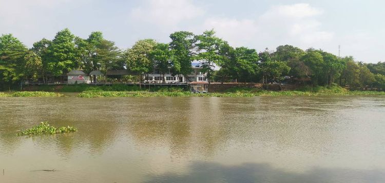 ขายบ้านพักตากอากาศติดแม่น้ำปราจีนบุรี รูปที่ 3