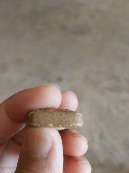 พระเนื้อว่านผสมผง(พระยอดขุนไกรหลังพระเจ้าตากสิน(ไม่ทราบพระเกจิที่สร้าง)(ไม่ทราบที่มาและอายุของพระ))พระบ้านพระเครื่องรางของมงคล รูปที่ 15