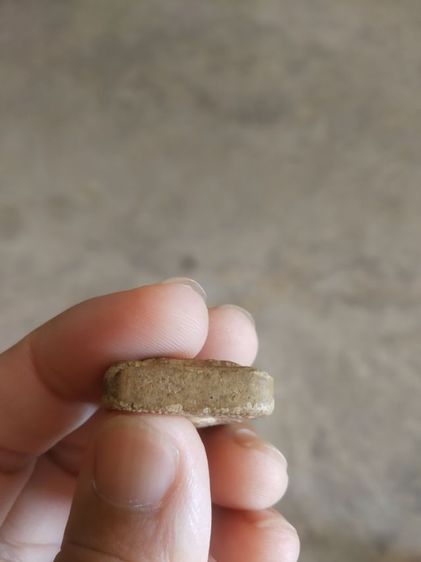 พระเนื้อว่านผสมผง(พระยอดขุนไกรหลังพระเจ้าตากสิน(ไม่ทราบพระเกจิที่สร้าง)(ไม่ทราบที่มาและอายุของพระ))พระบ้านพระเครื่องรางของมงคล รูปที่ 18