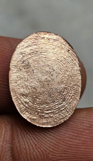 เหรียญหลวงปู่หลิว วัดไร่แตงทอง จ.นครปฐม
ออกวัดไทรทอง หลังวงเดือน ปี2522 นิยม รูปที่ 2