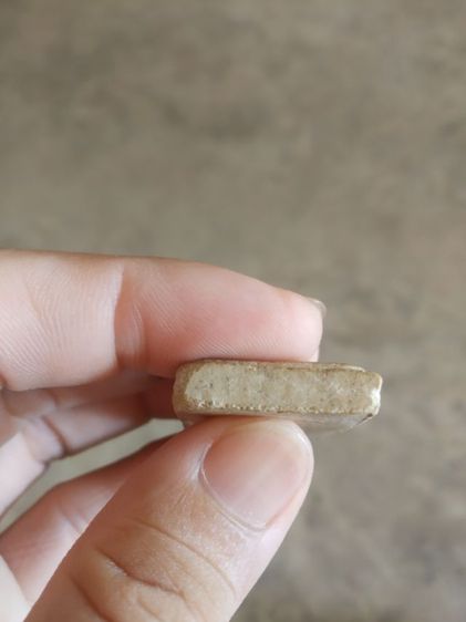 พระเนื้อว่านผสมผง(พระพิมพ์พระสมเด็จสมาธิพิมพ์ปรกโพธิ์(พิมพ์สะดุ้ง)(วัดเขาตะเครา)(100205)(จังหวัดเพชรบุรีปี2536))พระบ้านพระเครื่องรางของมงคล รูปที่ 17