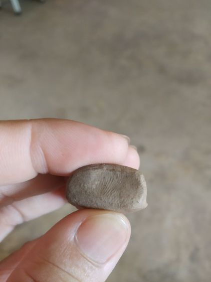 พระเนื้อดินผสมผง(พระลือโขงพิมพ์พระนางจามเทวีในซุ้มเรือนแก้ว(070707)(ไม่ทราบพระเกจิที่สร้าง))พระบ้านพระเครื่องรางของมงคล รูปที่ 18