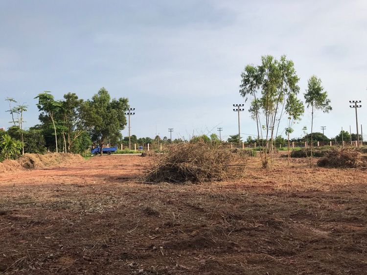 ที่ดินติดสนามฟุตบอล วัดตาขัน จังหวัด ระยอง รูปที่ 4