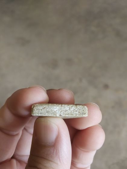 พระเนื้อว่านผสมผงพิมพ์เล็ก(พระพิมพ์พระนางพญาหลังเรียบ(ไม่ทราบพระเกจิที่สร้าง)(120401)(ไม่ทราบอายุและรุ่น))พระบ้านพระเครื่องรางของมงคล รูปที่ 11