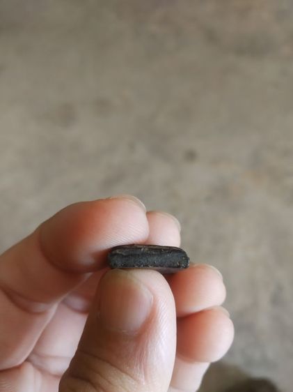 พระเนื้อดินผสมผงใบลานพิมพ์เล็ก(พระพิมพ์พระสมเด็จหลังเรียบ(ไม่ทราบพระเกจิที่สร้าง)(ไม่ทราบรุ่นและอายุ)(120402))พระบ้านพระเครื่องรางของมงคล รูปที่ 16