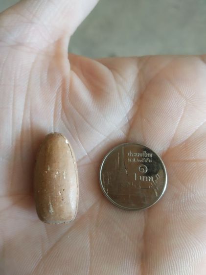 พระเนื้อดินพิมพ์เล็ก(พระพิมพ์พระพุทธมีลักษณะรูปทรงคล้ายเมล็ดข้าว(120404)(ไม่ทราบพระเกจิที่สร้าง)(ไม่ทราบรุ่นและอายุ))พระเครื่องรางของมงคล รูปที่ 5