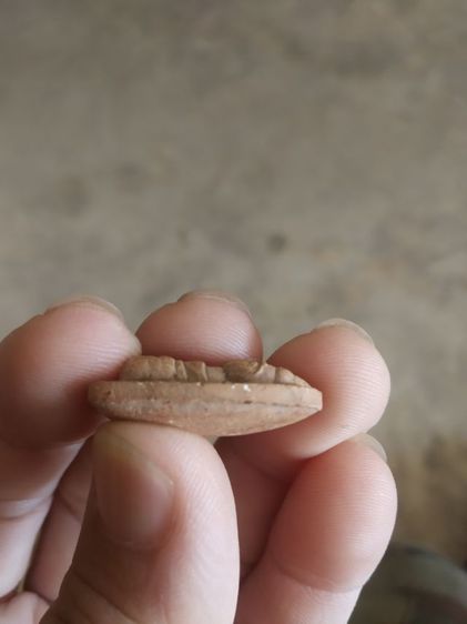 พระเนื้อดินพิมพ์เล็ก(พระพิมพ์พระพุทธมีลักษณะรูปทรงคล้ายเมล็ดข้าว(120404)(ไม่ทราบพระเกจิที่สร้าง)(ไม่ทราบรุ่นและอายุ))พระเครื่องรางของมงคล รูปที่ 12