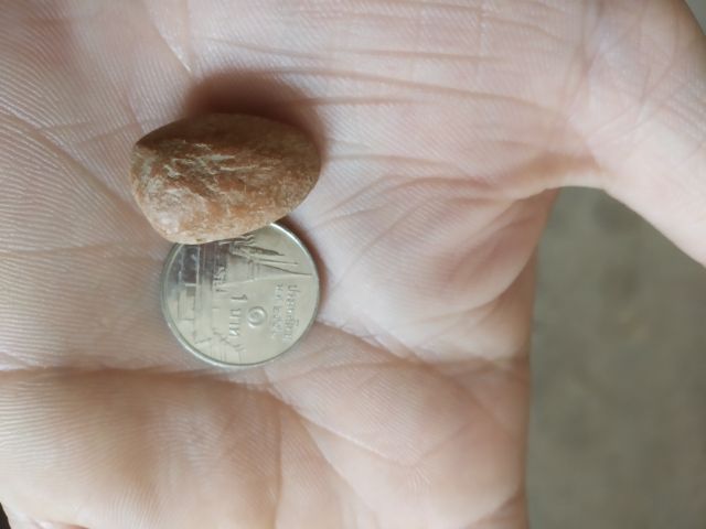 พระเนื้อดินพิมพ์เล็ก(พระพิมพ์พระพุทธมีลักษณะคล้ายกับเม็ดแตง(120405)(ไม่ทราบพระเกจิที่สร้าง)(ไม่ทราบรุ่นและอายุ))พระบ้านพระเครื่องรางของมงคล รูปที่ 9