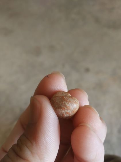 พระเนื้อดินพิมพ์เล็ก(พระพิมพ์พระพุทธมีลักษณะคล้ายกับเม็ดแตง(120405)(ไม่ทราบพระเกจิที่สร้าง)(ไม่ทราบรุ่นและอายุ))พระบ้านพระเครื่องรางของมงคล รูปที่ 16