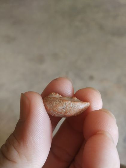 พระเนื้อดินพิมพ์เล็ก(พระพิมพ์พระพุทธมีลักษณะคล้ายกับเม็ดแตง(120405)(ไม่ทราบพระเกจิที่สร้าง)(ไม่ทราบรุ่นและอายุ))พระบ้านพระเครื่องรางของมงคล รูปที่ 15