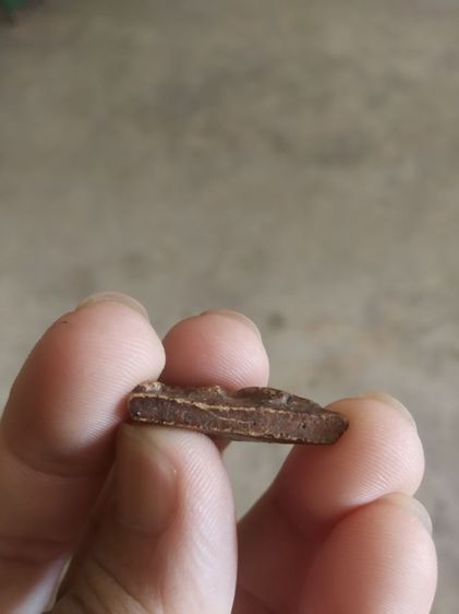 พระเนื้อดินผสมผงพิมพ์เล็ก(พระพิมพ์พระนางพญาหลังเรียบ(ไม่ทราบพระเกจิที่สร้าง)(ไม่ทราบรุ่นและอายุ)(120410))พระบ้านพระเครื่องรางของมงคล รูปที่ 15