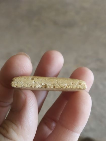 พระเนื้อว่านผสมผง(พระพิมพ์พระสมเด็จเกศไชโยหลังเรียบ(ไม่ทราบพระเกจิที่สร้าง)(120414)(ไม่ทราบอายุและรุ่น))พระบ้านพระเครื่องรางของมงคล รูปที่ 12