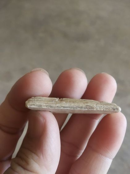 พระเนื้อว่านผสม(พระพิมพ์พระสมเด็จเกศไชโยหลังเรียบ(มีรอยแตกด้านหลัง)(120418)(ไม่ทราบพระเกจิที่สร้าง)(ไม่ทราบอายุ))พระบ้านพระเครื่องรางของมงคล รูปที่ 13