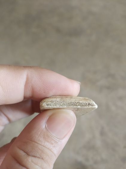 พระเนื้อว่านผสม(พระพิมพ์พระสมเด็จเกศไชโยหลังเรียบ(มีรอยแตกด้านหลัง)(120418)(ไม่ทราบพระเกจิที่สร้าง)(ไม่ทราบอายุ))พระบ้านพระเครื่องรางของมงคล รูปที่ 15