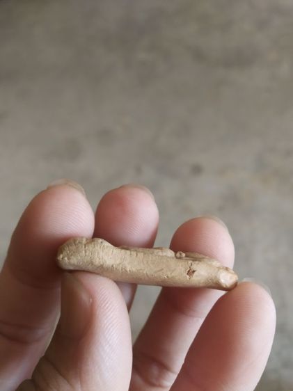 พระเนื้อดิน(พระพิมพ์พระนางพญาหลังเรียบ(ไม่ทราบพระเกจิที่สร้าง)(120419)(ไม่ทราบรุ่นและอายุ))พระบ้านพระเครื่องรางของมงคล รูปที่ 12