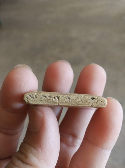 พระเนื้อว่านผสมผง(พระพิมพ์พระสมเด็จเกศไชโยอกร่องหลังเรียบ(130402)(ไม่ทราบรุ่นและอายุ)(ไม่ทราบพระเกจิที่สร้าง))พระบ้านพระเครื่องรางของมงคล รูปที่ 15