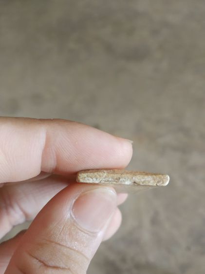 พระเนื้อว่านผสมผง(พระพิมพ์พระสมเด็จหลังเรียบ(130403)(ไม่ทราบที่มาไม่ทราบพระเกจิที่สร้าง))พระบ้านพระเครื่องรางของมงคล รูปที่ 17