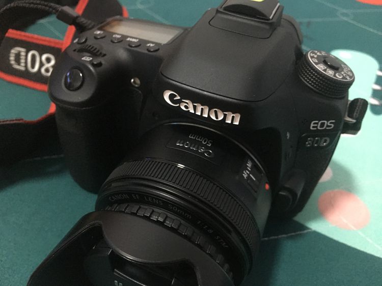 Canon EOS 80D body    Shutter 5,971  รูปที่ 9