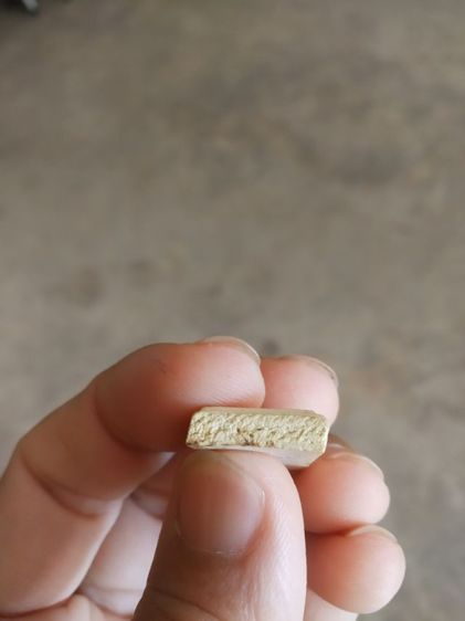 พระเนื้อว่านผสมผงพิมพ์เล็ก(พระพิมพ์พระสมเด็จเกศไชโยอกร่องหลังเรียบเนื้อออกขาว(130413)(ไม่ทราบพระเกจิที่สร้าง))พระบ้านพระเครื่องรางของมงคล รูปที่ 11