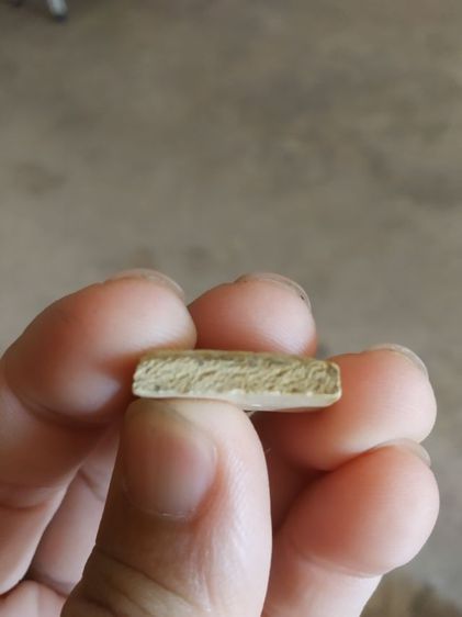 พระเนื้อว่านผสมผงพิมพ์เล็ก(พระพิมพ์พระสมเด็จหลังเรียบ(ไม่ทราบอายุและรุ่น)(ไม่ทราบพระเกจิที่สร้าง)(130414))พระบ้านพระเครื่องรางของมงคล รูปที่ 11