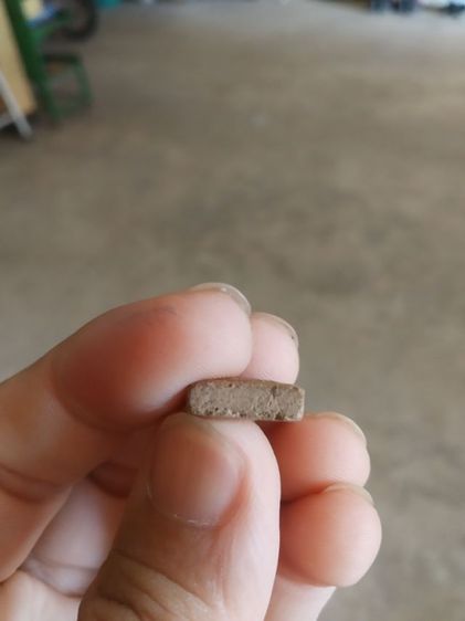 พระเนื้อว่านผสมพระเกศาพิมพ์เล็ก(พระพิมพ์พระสมเด็จ(พระหลวงพ่อชาย(ชาคโร))(วัดสุดารังสรรค์)(จังหวัดร้อยเอ็ด)พระเกจิ)พระบ้านพระเครื่องรางของมงคล รูปที่ 16