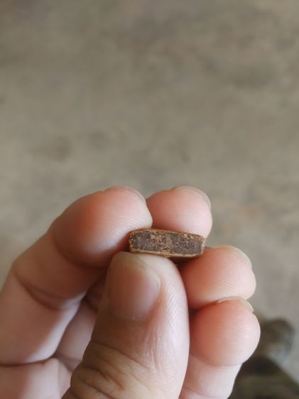 พระเนื้อดินพิมพ์เล็กทรงสามเหลี่ยม(พระพิมพ์พระนางพญาหลังเรียกเนื้อสีน้ำตาลเข้ม(140407)(ไม่ทราบพระเกจิที่สร้าง))พระบ้านพระเครื่องรางของมงคล รูปที่ 14