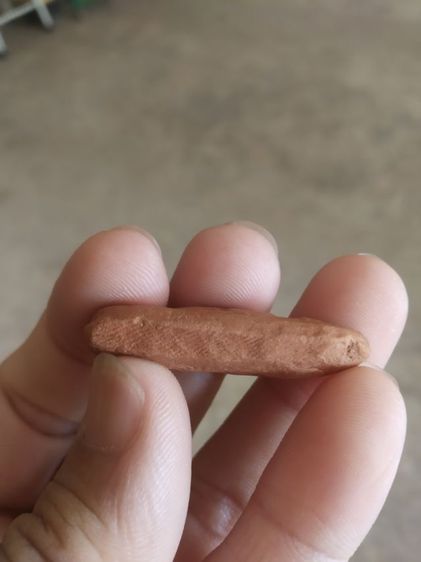 พระเนื้อดินพิมพ์กลาง(พระปางลีลากำแพงทุ่งเศรษฐีหรือพระปางลีลากำแพงเขย่ง(พระบ้านพระใหม่)(140408)(ไม่ทราบพระเกจิที่สร้าง))พระเครื่องรางของมงคล รูปที่ 13