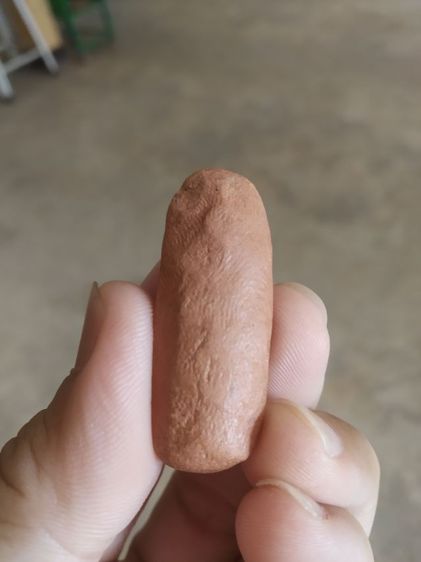 พระเนื้อดินพิมพ์กลาง(พระปางลีลากำแพงทุ่งเศรษฐีหรือพระปางลีลากำแพงเขย่ง(พระบ้านพระใหม่)(140408)(ไม่ทราบพระเกจิที่สร้าง))พระเครื่องรางของมงคล รูปที่ 8