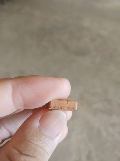 พระเนื้อดินผสมผง(พระพิมพ์พระปางลีลากำแพงเขย่งหรือพระปางลีลากำแพงข้างเม็ด(140409)(ไม่ทราบพระเกจิที่สร้าง)(พระใหม่))พระเครื่องรางของมงคล รูปที่ 11