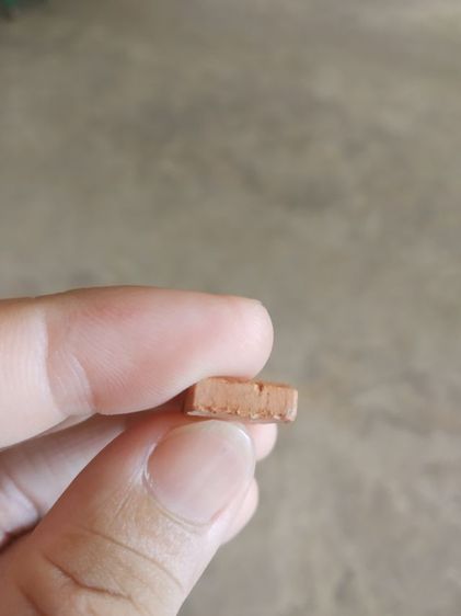 พระเนื้อดินผสมผง(พระพิมพ์พระปางลีลากำแพงเขย่งหรือพระปางลีลากำแพงข้างเม็ด(140409)(ไม่ทราบพระเกจิที่สร้าง)(พระใหม่))พระเครื่องรางของมงคล รูปที่ 10