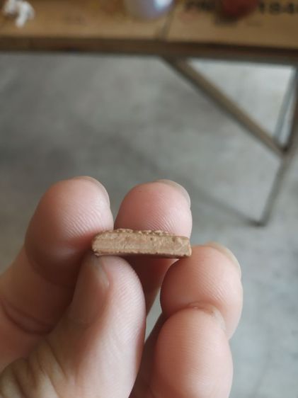 พระเนื้อดินผสมผงพิมพ์จิ๋ว(พระพิมพ์พระนางกวักหลังเรียบสีน้ำตาล(ข้างเม็ด)(ไม่ทราบพระเกจิที่สร้าง)(140415))พระบ้านพระเครื่องรางของมงคล รูปที่ 13