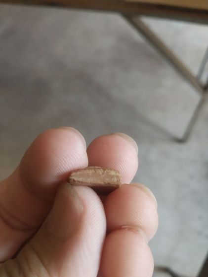 พระเนื้อดินผสมผงพิมพ์จิ๋ว(พระพิมพ์พระนางกวักหลังเรียบสีน้ำตาล(ข้างเม็ด)(ไม่ทราบพระเกจิที่สร้าง)(140415))พระบ้านพระเครื่องรางของมงคล รูปที่ 10