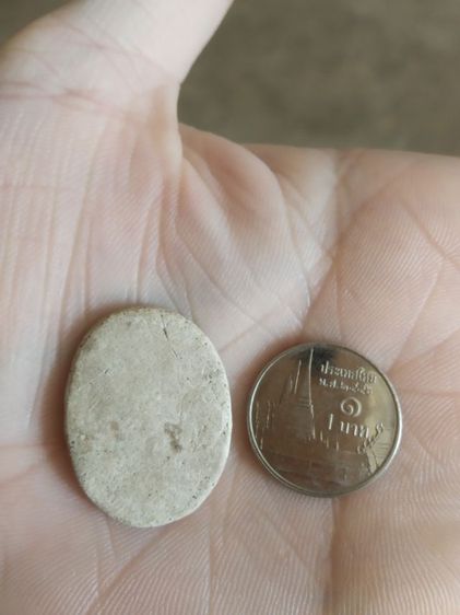 พระเนื้อว่านผสมผงรูปทรงไข่(พระรูปเหมือนพระเกจิ(ไม่ทราบว่าเป็นพระเกจิใด)(ไม่ทราบรุ่นและอายุ)(150401))พระบ้านพระเครื่องรางของมงคล รูปที่ 7