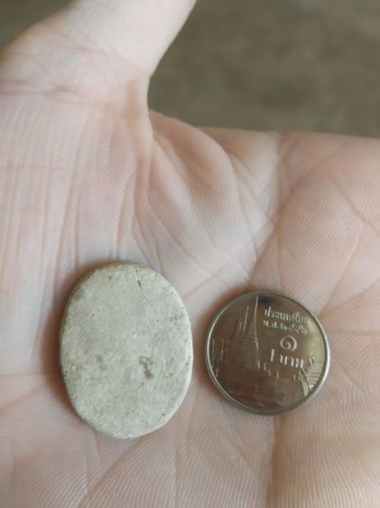 พระเนื้อว่านผสมผงรูปทรงไข่(พระรูปเหมือนพระเกจิ(ไม่ทราบว่าเป็นพระเกจิใด)(ไม่ทราบรุ่นและอายุ)(150401))พระบ้านพระเครื่องรางของมงคล รูปที่ 6