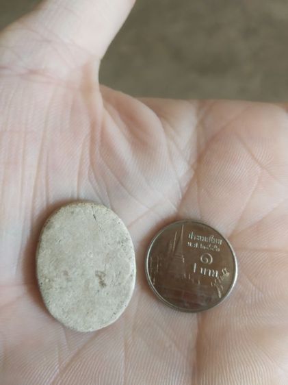 พระเนื้อว่านผสมผงรูปทรงไข่(พระรูปเหมือนพระเกจิ(ไม่ทราบว่าเป็นพระเกจิใด)(ไม่ทราบรุ่นและอายุ)(150401))พระบ้านพระเครื่องรางของมงคล รูปที่ 9