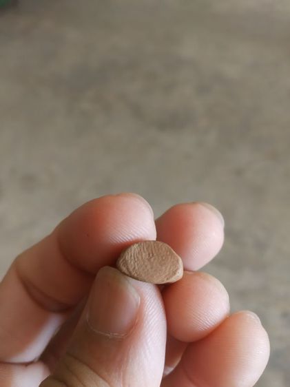 พระเนื้อดินเผาพิมพ์เล็ก(พระรูปเหมือนพระนางจามเทวี(วัดจามเทวี)(จังหวัดลำพูน)(พระเครื่องล้านนา))พระบ้านพระเครื่องรางของมงคล รูปที่ 11