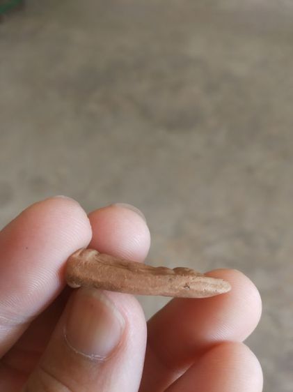 พระเนื้อดินเผาพิมพ์เล็ก(พระรูปเหมือนพระนางจามเทวี(วัดจามเทวี)(จังหวัดลำพูน)(พระเครื่องล้านนา))พระบ้านพระเครื่องรางของมงคล รูปที่ 10