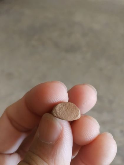 พระเนื้อดินเผาพิมพ์เล็ก(พระรูปเหมือนพระนางจามเทวี(วัดจามเทวี)(จังหวัดลำพูน)(พระเครื่องล้านนา))พระบ้านพระเครื่องรางของมงคล รูปที่ 9