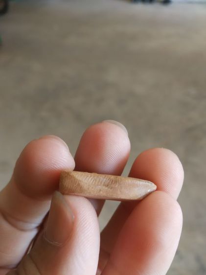 พระเนื้อดิน(พระพิมพ์พระพุทธนั่งปางสมาธิบนฐาน(150402)(พระใหม่ไม่ทราบพระเกจิที่สร้าง))พระบ้านพระเครื่องรางของมงคล รูปที่ 15