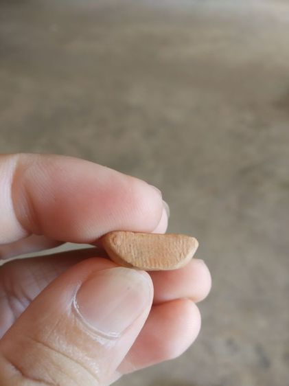 พระเนื้อดิน(พระพิมพ์พระพุทธนั่งปางสมาธิบนฐาน(150402)(พระใหม่ไม่ทราบพระเกจิที่สร้าง))พระบ้านพระเครื่องรางของมงคล รูปที่ 17