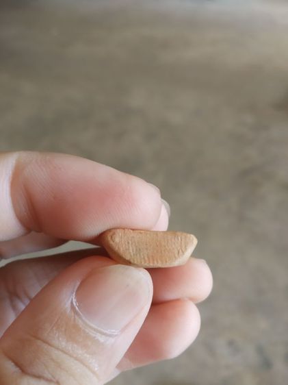 พระเนื้อดิน(พระพิมพ์พระพุทธนั่งปางสมาธิบนฐาน(150402)(พระใหม่ไม่ทราบพระเกจิที่สร้าง))พระบ้านพระเครื่องรางของมงคล รูปที่ 16