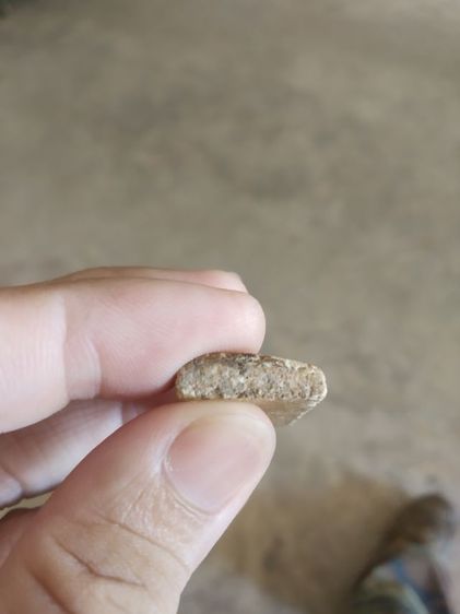 พระเนื้อว่านผสมผงพิมพ์กลาง(พระพิมพ์พระสมเด็จหลังเรียบ(ไม่สวยไม่ทราบพระเกจิที่สร้าง)(ไม่ทราบรุ่นและอายุ)(150403))พระบ้านพระเครื่องรางของมงคล รูปที่ 17