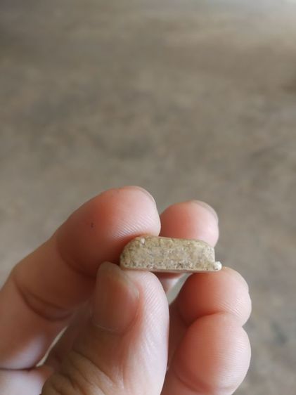 พระเนื้อว่านผสมผง(พระรูปเหมือนพระสมเด็จพุฒาจารย์โตพรหมรังสี(หลังเรียบ)(150404)(ไม่ทราบพระเกจิที่สร้าง))พระบ้านพระเครื่องรางของมงคล รูปที่ 17